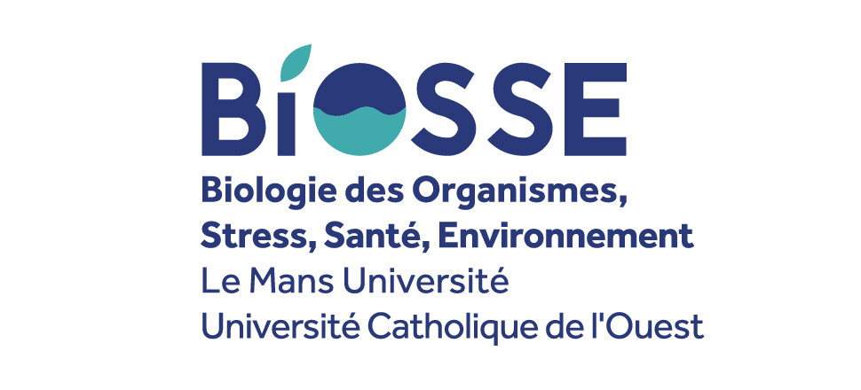 BIOSSE
